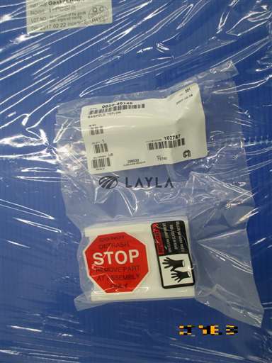 0020-40148//MANIFOLD  TEFLON  FEED THRU LID CHAMBER//_01