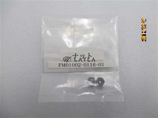 FM01002-0116-01//NUT (UF300A/3000 PIN CYLINDER ASSY)//_01