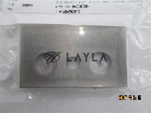 54301000-1//PLATE ARC CHAMBER TOP//_01