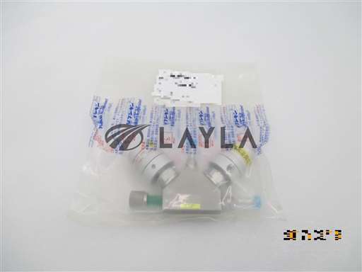FBDV-6.35-2B3-316LP-PA-AQP//VALVE FBDV-6.35-2B3-316LP-PA-AQP//_01