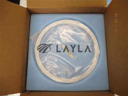 15-303364-00//C3 Guard Ring//_01