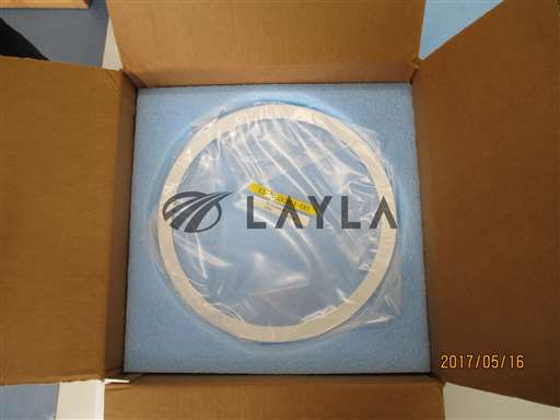 15-303364-00//C3 Guard Ring//_01