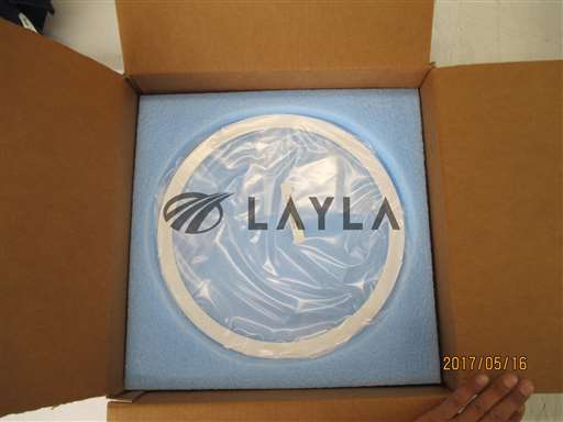 15-303364-00//C3 Guard Ring//_01