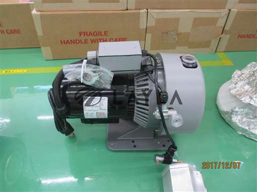 /EXPTS0300UVPIDF/Varian Triscroll 300Series Vacuum Pump//_01