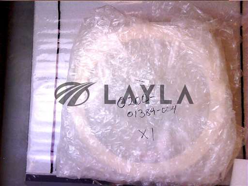 0200-01389//RING DEPOSITION, NARROW OD, 300MM ESC CU/Applied Materials/_01