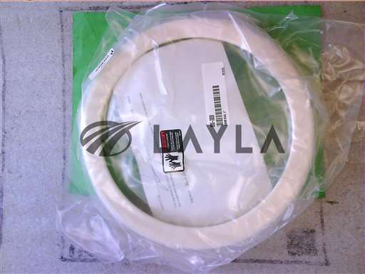 0200-20300//COVER RING 8" B101 CERAMIC/Applied Materials/_01