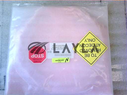 0040-75247//RING 2 DUAL ROBOT/Applied Materials/_01