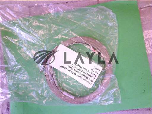 0620-01518//CABLE ASSY GROUND INTERFACE 20 FT/Applied Materials/_01