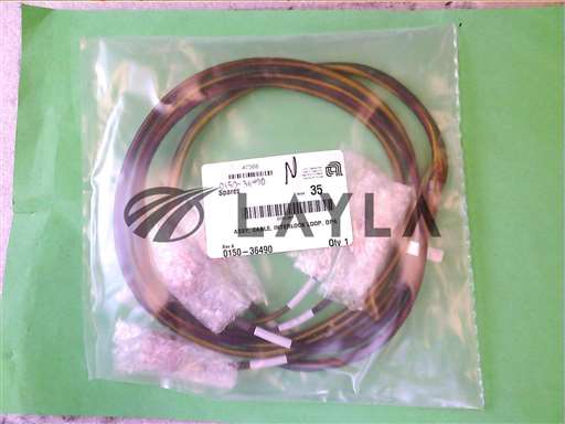 0150-36490//ASSY, CABLE, INTERLOCK LOOP, DPA/Applied Materials/_01