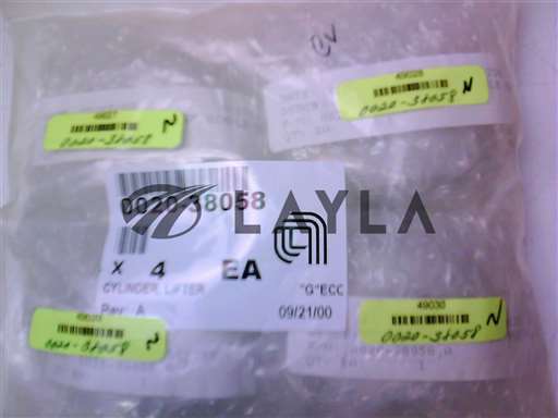 0020-38058//CYLINDER, LIFTER/Applied Materials/_01