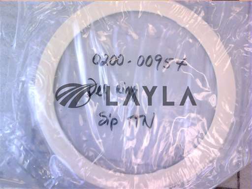 0200-00954//DEP RING, 300MM SIP TA/TAN, AL ARC-SPRAY/Applied Materials/_01