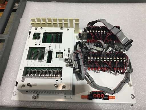0010-35654//Assy, Seriplex Card Cage, Ch.C/Applied Materials/_01