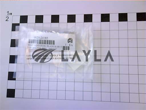 0020-24185//SHAFT WING DUAL BLADE ROBOT/Applied Materials/_01