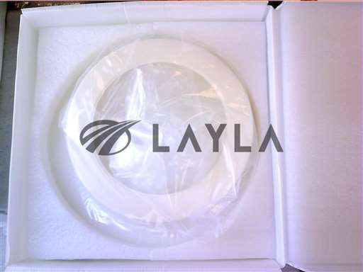 0200-36685//RING,SINGLE,LOW PROFILE,200MM SNNF,CERAM/Applied Materials/_01