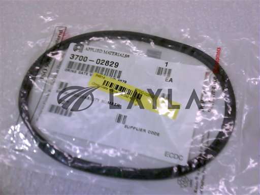 3700-02829//ORING GATE VALVE 10.0ID 4079/Applied Materials/_01
