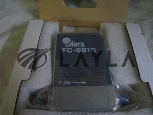 FC-981C/-/Aera MFC, FC-981C, TC FC-981SBC, N2O 10 SLM, with calibration sheet/Aera/-_01
