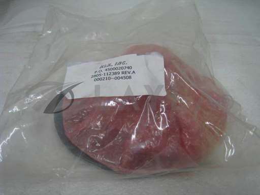 2805-112389/-/IPEC Speedfam, 2805-112389, Pad assembly/IPEC/_01
