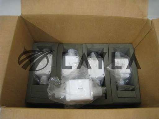 952363/-/5 IPEC Speedfam Novellus 952363, Entegris Q4000 Ball valve/IPEC Spedfam/-_01