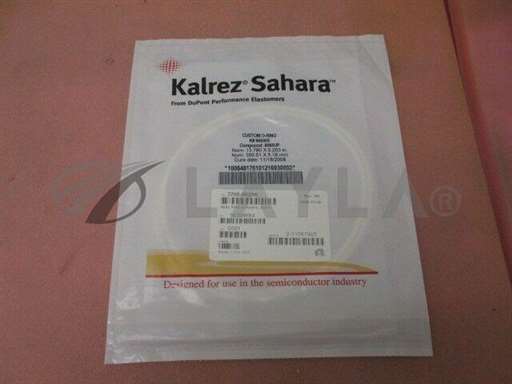 3700-00256/-/NEW AMAT 3700-00256 Kemraz Seal Ring Dynamic, Body. 329363/AMAT/_01