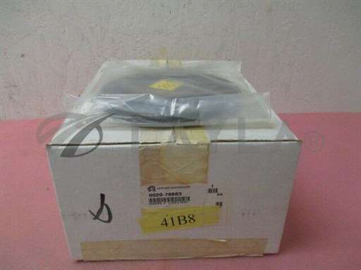 0020-78883/-/AMAT 0020-78883 Carrier, 6" Titan-2 Head/AMAT/_01