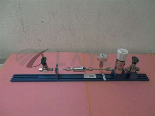 74-24P1KR920-067/-/Kinetics Gas Line, w 2 Swagelok 6LV-DAVR4-P, Tescom 74-24P1KR920-067, Pall/Tescom/_01