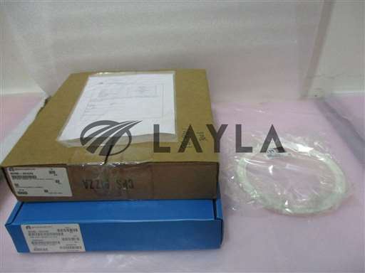 0200-02420/DEP Ring 200mm, SIP TNN./AMAT 0200-02420 Rev.008, DEP Ring 200mm, SIP TNN. 417844/AMAT/_01