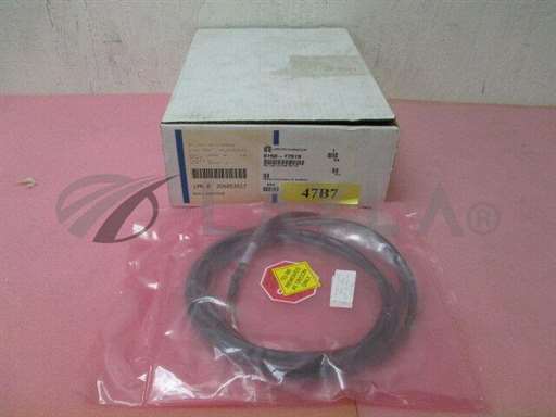 0150-77519/-/NEW AMAT 0150-77519 CABLE ENC TO PCB PM 1/2/AMAT/_01