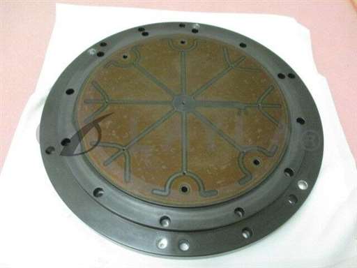 0010-10528/-/AMAT 0010-10528 0040-09957 0040-09961 0020-32963 ESC Chuck 200mm Etch Ch, 400265/AMAT/-_01