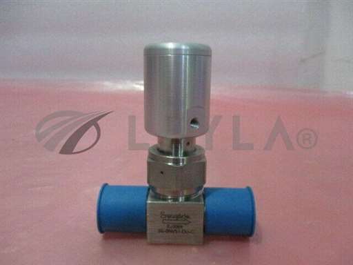 SS-BNV51-DV-C/Bellows Valve/Swagelok SS-BNV51-DV-C Bellows Valve, 450951/Swagelok/_01