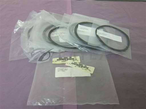 824-8640//10 Anelva 824-8640, PY4, O-ring, 405957/Anelva/_01