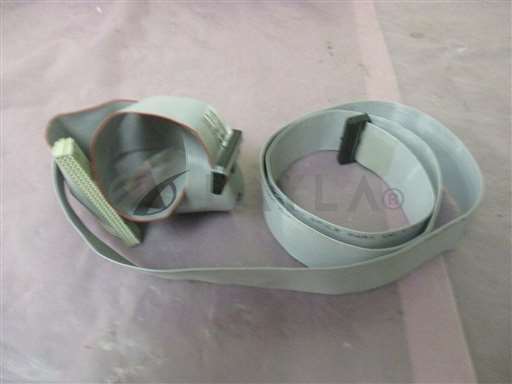 0150-22448//AMAT 0150-22448 Cable, J6 Backplane Board, J8 Dist Board, P2-10 Cardcage, 407998/AMAT/_01