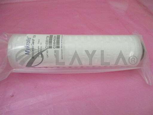 CN0301T06/ProcessGard/Entegris CN0301T06 Mykrolis Filter, ProcessGard CN, 10", 0.3 Micron, 409953/Entegris/_01