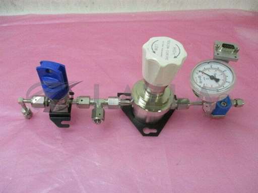 74-3061TRR30//Tesco 74-3061TRR30 Gas Stick, Swagelok 6LVV-DPLMR4FR4-P Valve, 410829/Tesco/_01