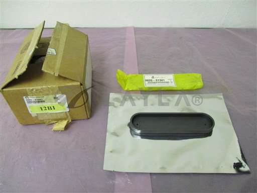 0020-01341//AMAT 0020-01341, Cover, Graphite, 410986/AMAT/_01