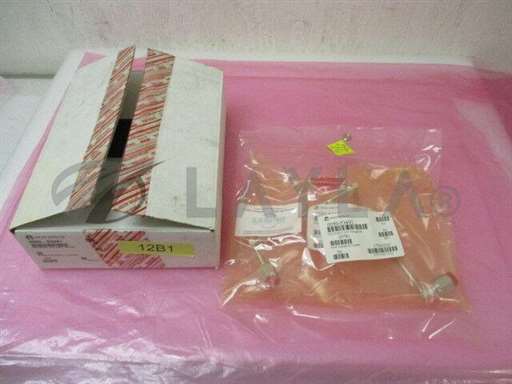 0050-53491//AMAT 0050-53491 Weldment, ZDV Final Gasline, 410903/AMAT/_01