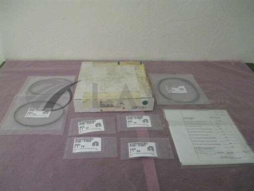 0240-33172//AMAT 0240-33172 PIK, ORING VITON, DSGD, MxP, LID AND GAS BYPASS. 411089/AMAT/_01