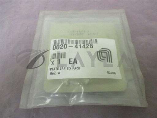 0020-41426//AMAT 0020-41426 Plate Cap Six Pack, 411115/AMAT/_01