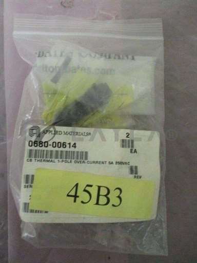 0680-00614//2 AMAT 0680-00614 CB THERMAL 1 - POLE OVER - CURRENT 5A 250Vac/AMAT/_01