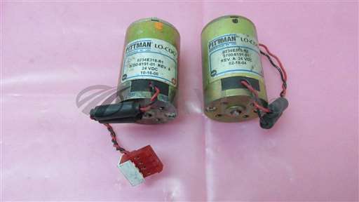 9234E318-R1//2 Pittman 9234E318-R1, 9700-6191-01 Rev.A, Motor, 24VDC. 412881/Pittman/_01