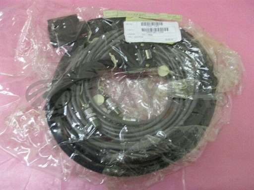 SS-300/Cable/Kenwood SS-300 Cable, Steam Generator 414558/Kenwood/_01