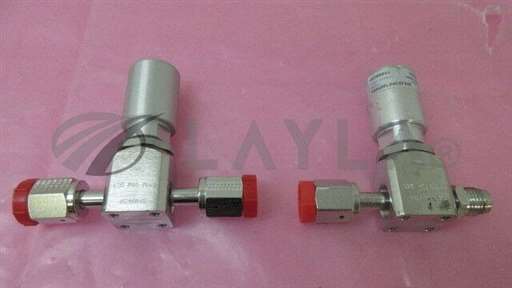 45700041//2 Veriflo 45700041, 45700048, 316L, High Purity Valve Diaphragm, Spring. 329254/Veriflo/_01