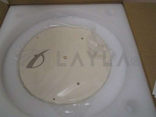 1150-000-009/-/300mm ceramic chuck, AL191, TEL 1150-000-009/TEL/-_01