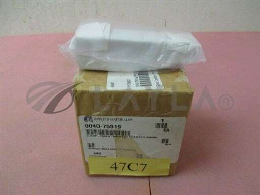 0040-75919/-/AMAT 0040-75919 Clamp, Cover Transfer Chamber 300MM/AMAT/_01