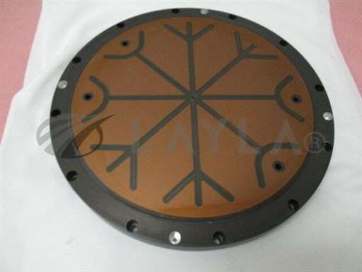 0020-32128/-/AMAT 0020-32128, ESC, Chuck, 200mm, 400266/AMAT/-_01