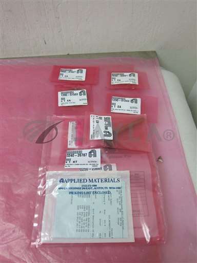0240-26787/-/AMAT 0240-26787 KIT, RETROFIT CHAMBER SECOND QUICK-RELEASE PIN 3350-01096 401441/AMAT/_01