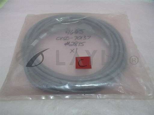 0150-70137/Cable/AMAT 0150-70137 Assembly Cable System Video 25 FT, 419834/AMAT/_01