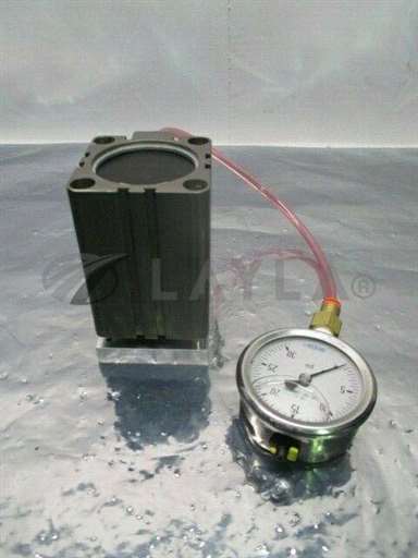 GTND--050-050//FABCO Air GTND-050-050 Cylinder w/ Wikai Gauge, 30 PSI, 316 SS, 100415/FABCO Air/_01