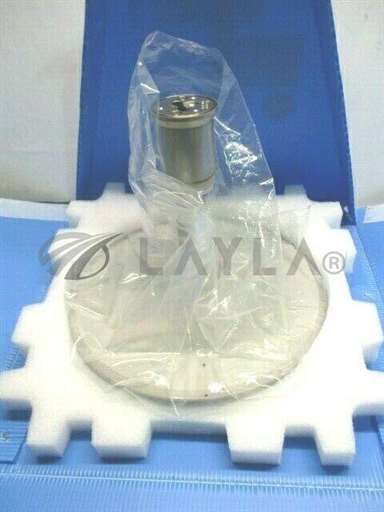 0190-45322/Ceramic Heater/AMAT 0190-45322 Ceramic Heater, 300mm, 30004800, Dual Zone, 102421/AMAT/_01