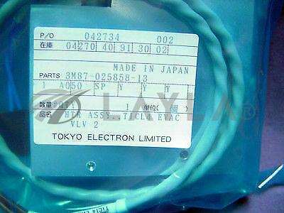MB3M87-025858-13//TEL MB3M87-025858-13 ASSY, HTR TICL4 EVAC VLV 2/TOKYO ELECTRON (TEL)/_01