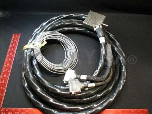 0150-21381//Applied Materials (AMAT) 0150-21381 Cable Assy./Applied Materials (AMAT)/_01
